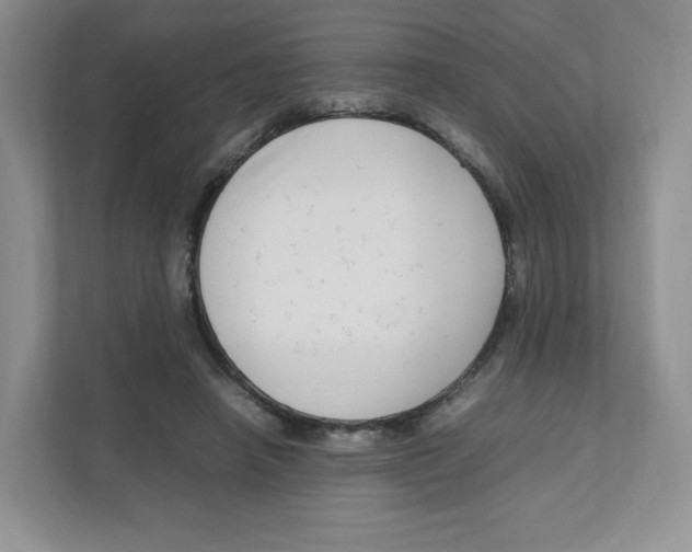 X0000111190450200907291207