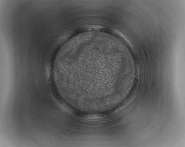 X0000111190451200907291207
