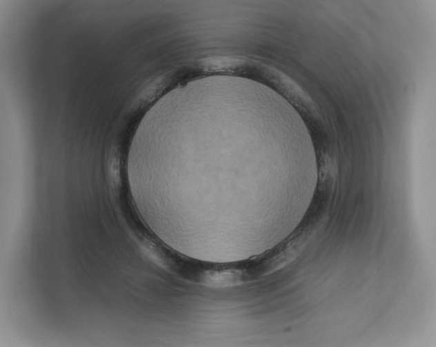 X0000111190452200907291207