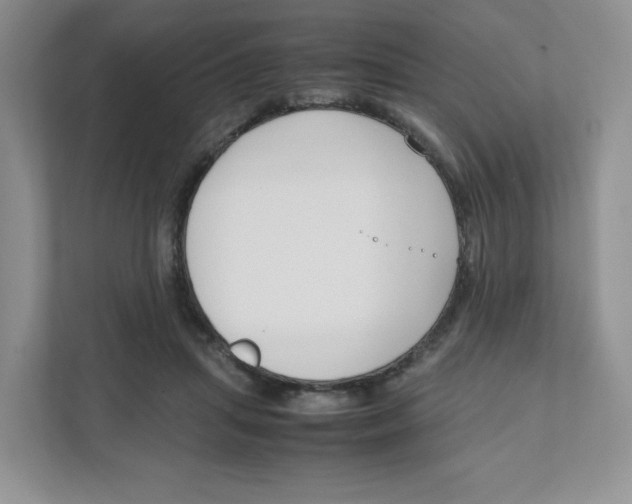 X0000111190455200907291207
