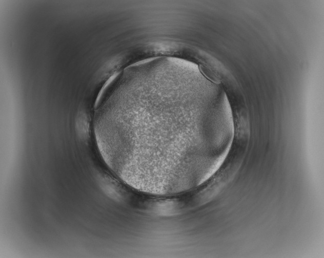 X0000111190456200907291207