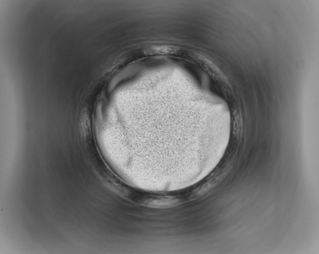 X0000111190459200907291207