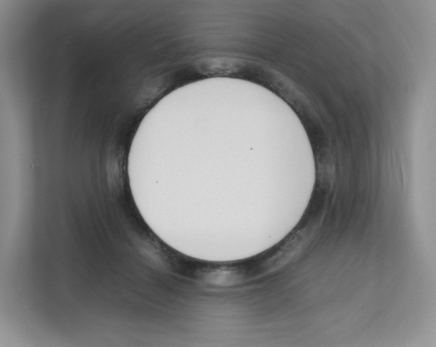 X0000111190460200907291207