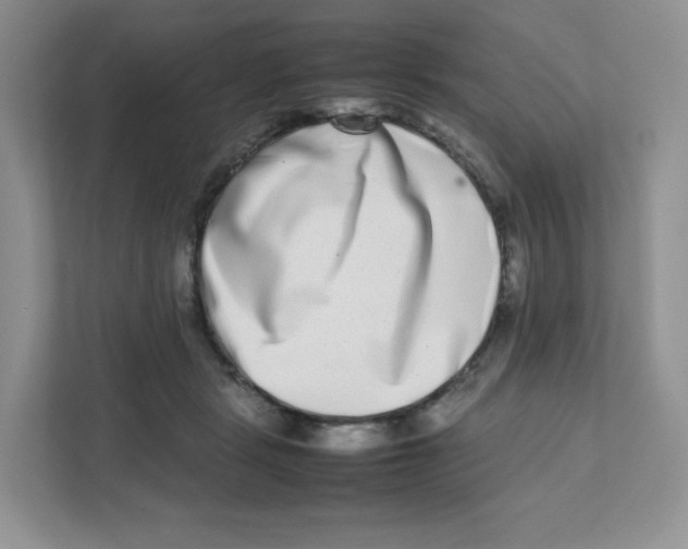 X0000111190461200907291207