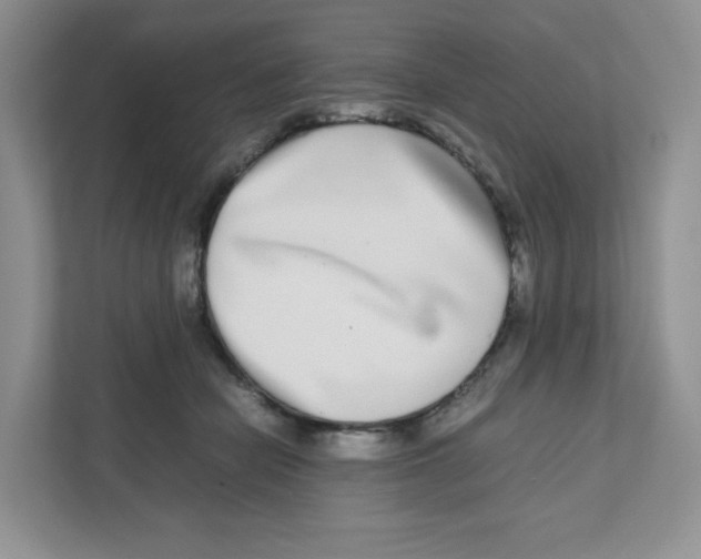 X0000111190462200907291207
