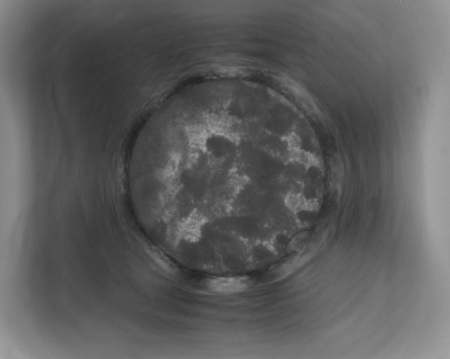 X0000111190465200907291207