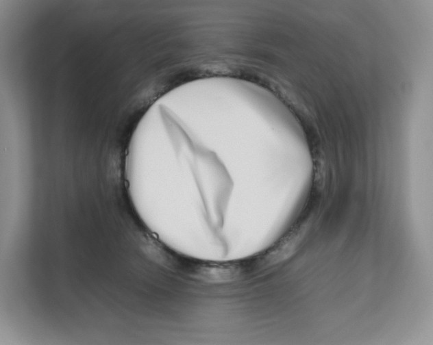 X0000111190466200907291207