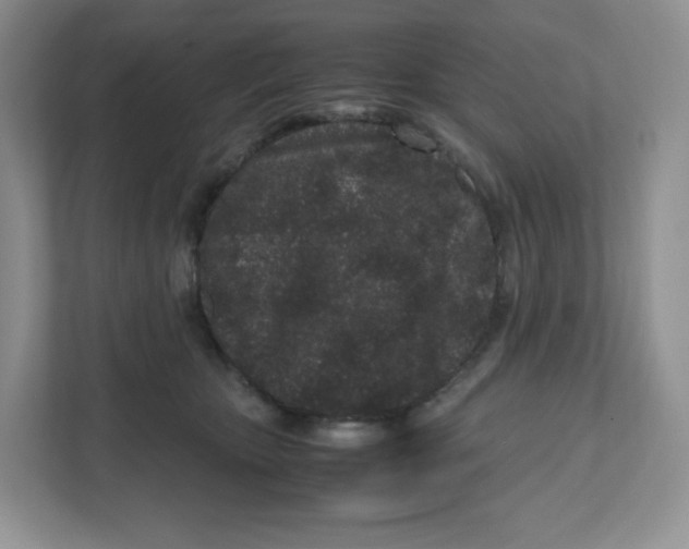 X0000111190467200907291207