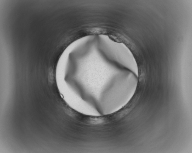 X0000111190469200907291207