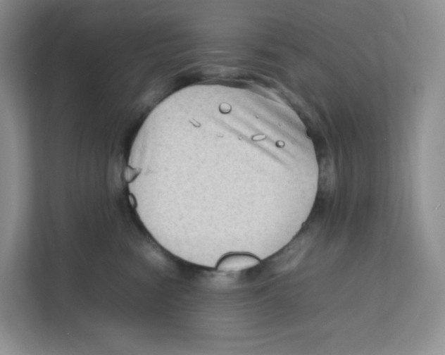 X0000111190474200907291207