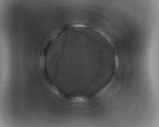X0000111190475200907291207