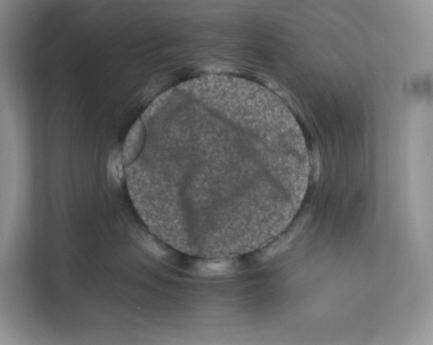 X0000111190479200907291207