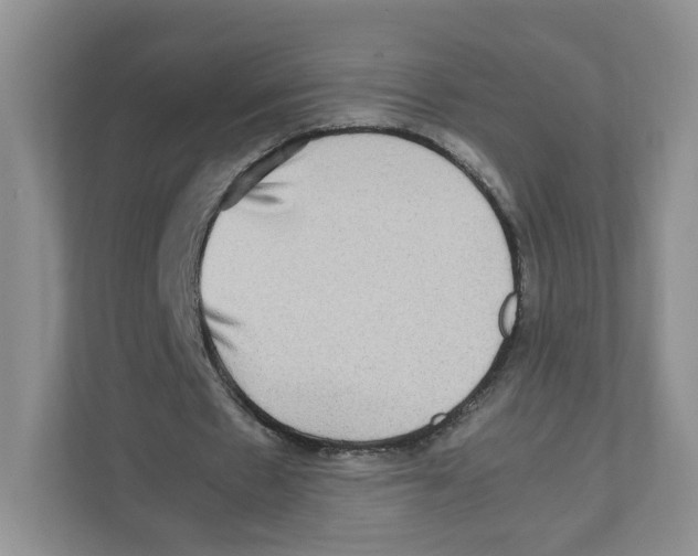 X0000111190481200907291207