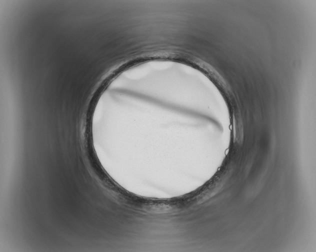 X0000111190483200907291207