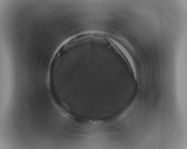 X0000111190484200907291207