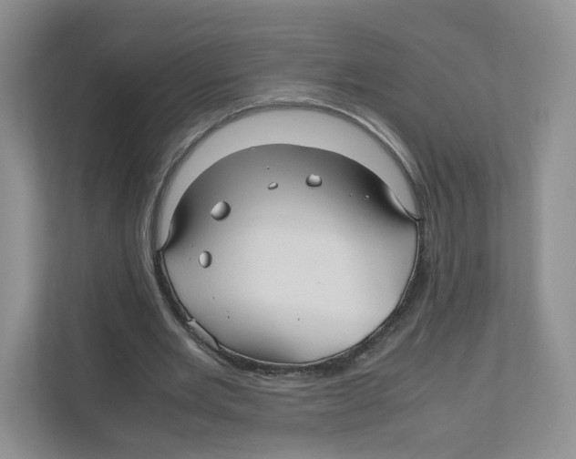 X0000111190485200907291207