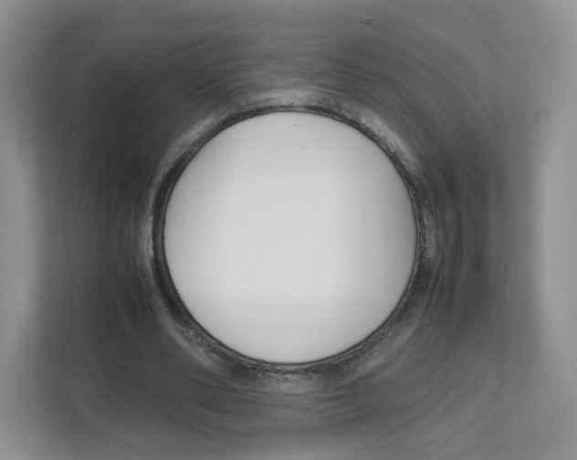 X0000111190486200907291207