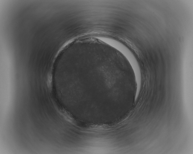 X0000111190488200907291207