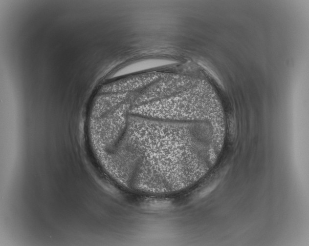X0000111190491200907291207