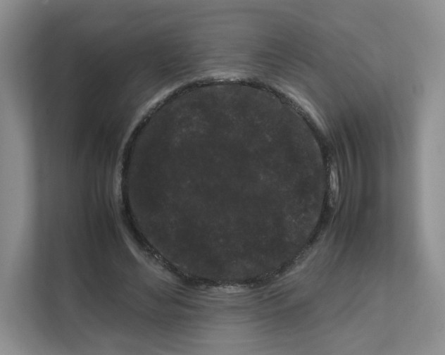 X0000111190492200907291207