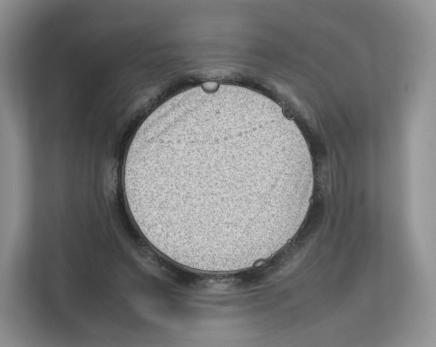 X0000111190495200907291207