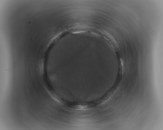 X0000111190496200907291207