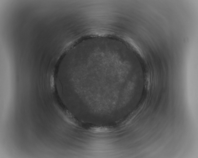 X0000111190500200907291207