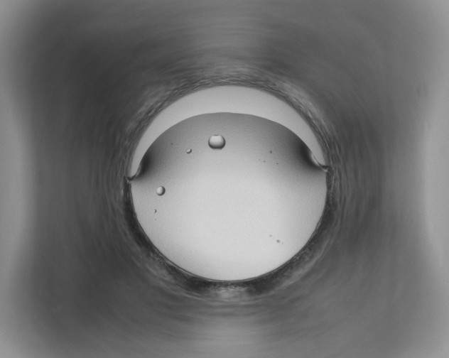 X0000111190501200907291207