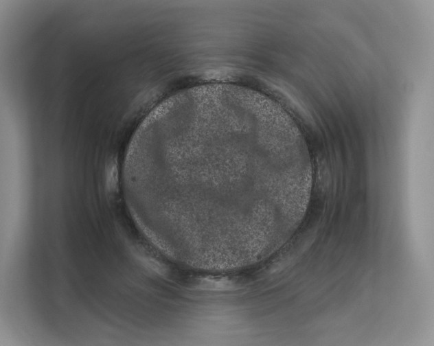 X0000111190502200907291207