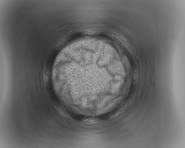 X0000111190503200907291207