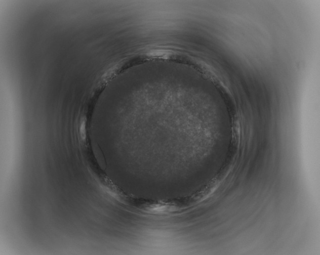 X0000111190504200907291207