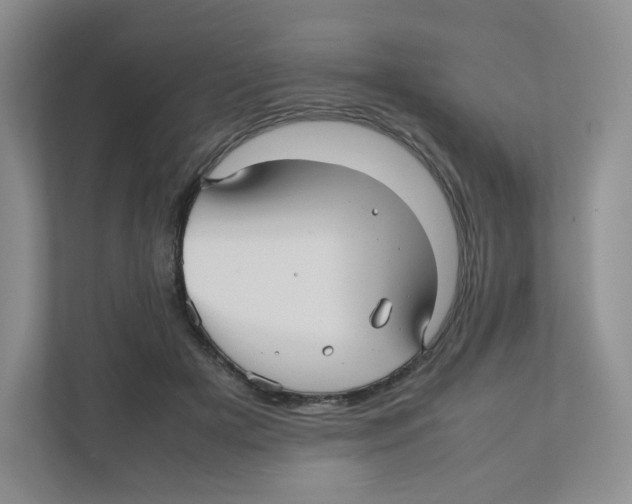 X0000111190505200907291207