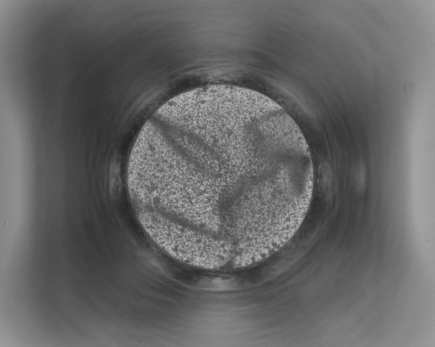 X0000111190506200907291206