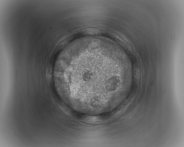 X0000111190507200907291206