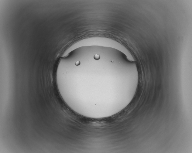 X0000111190508200907291206
