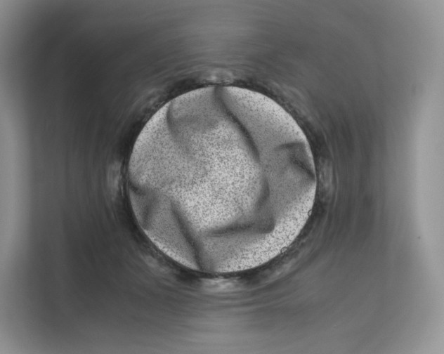 X0000111190511200907291206