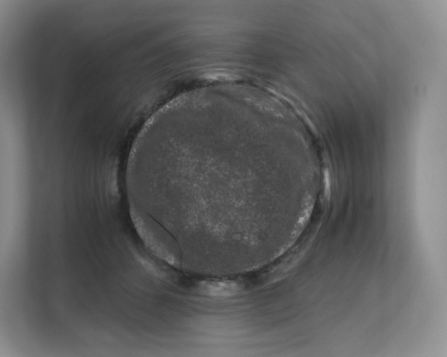 X0000111190512200907291206