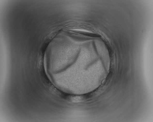 X0000111190513200907291206
