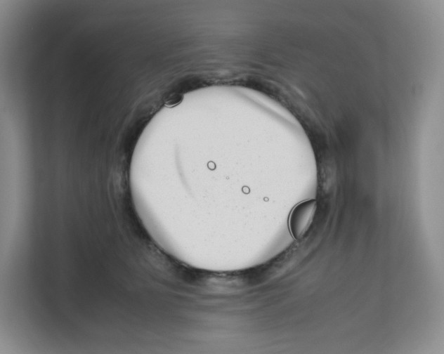 X0000111190515200907291206