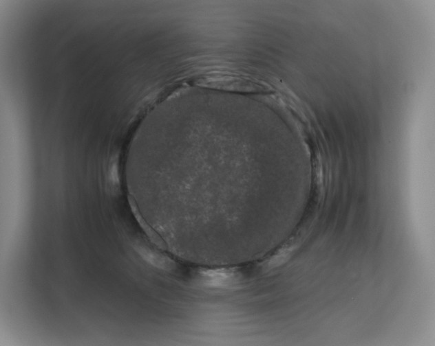 X0000111190516200907291206