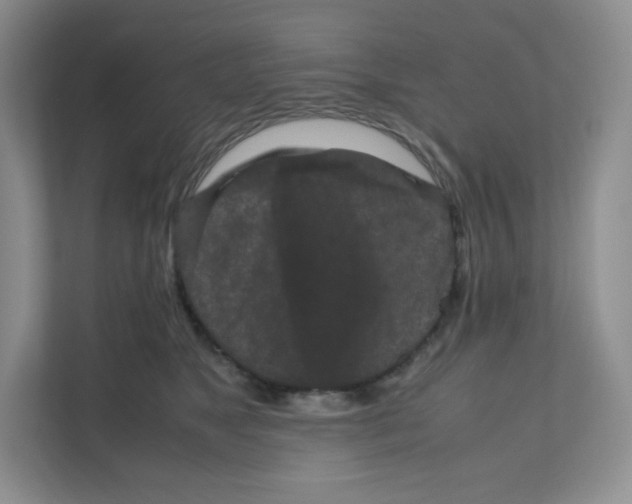 X0000111190517200907291206