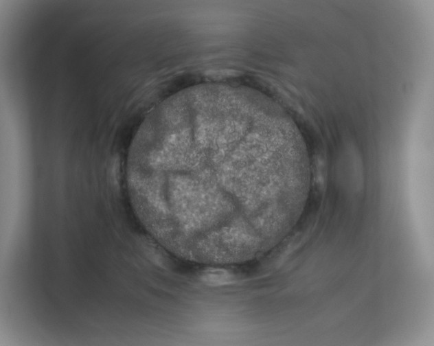 X0000111190519200907291206