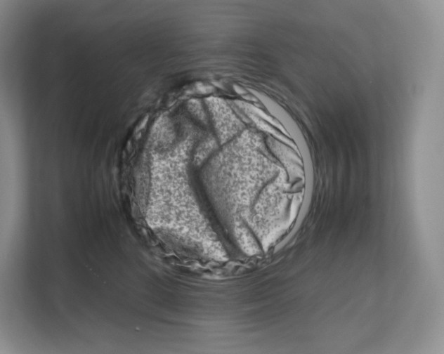 X0000111190520200907291206