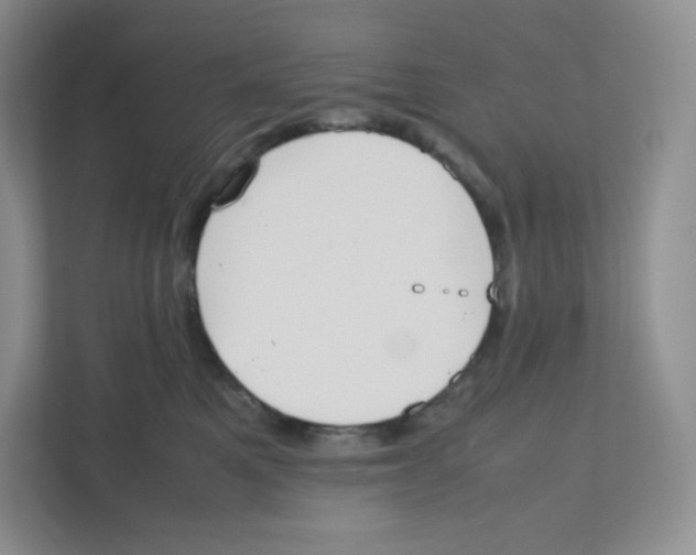 X0000111190521200907291206