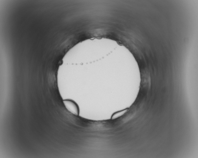 X0000111190523200907291206