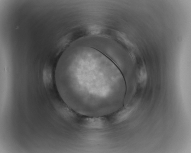 X0000111190524200907291206