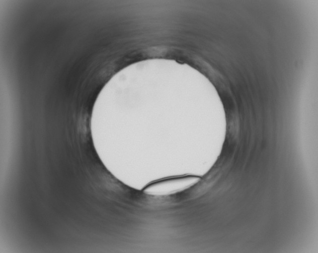 X0000111190525200907291206