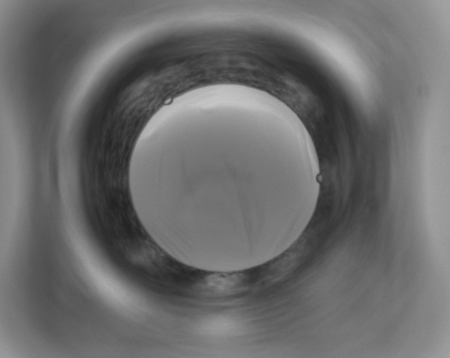 X0000111190526200907291206