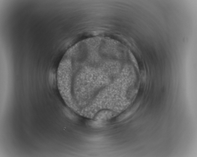 X0000111190527200907291206