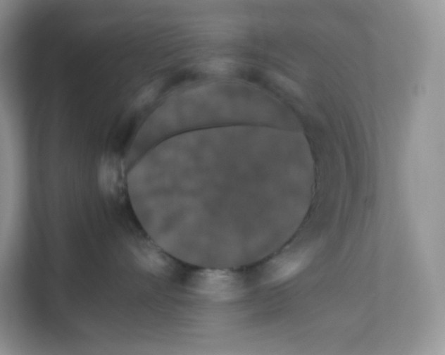 X0000111190528200907291206